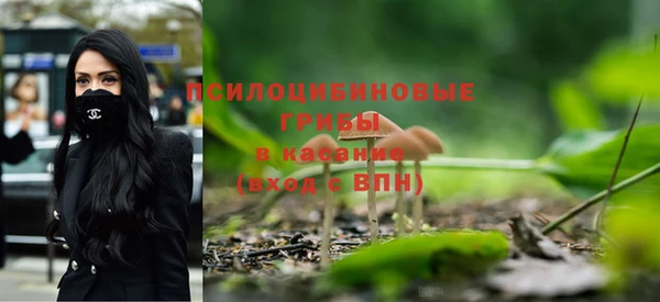 COCAINE Покачи