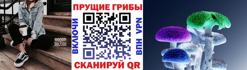 Псилоцибиновые грибы Psilocybe  Барнаул 