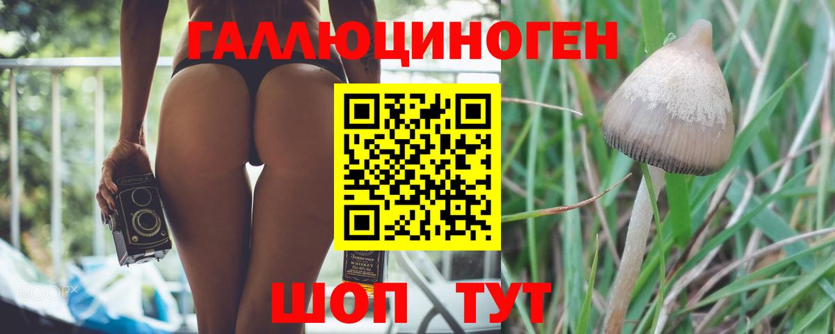 наркотики  Псилоцибиновые грибы Psilocybine cubensis  Вход с VPN  Барнаул 